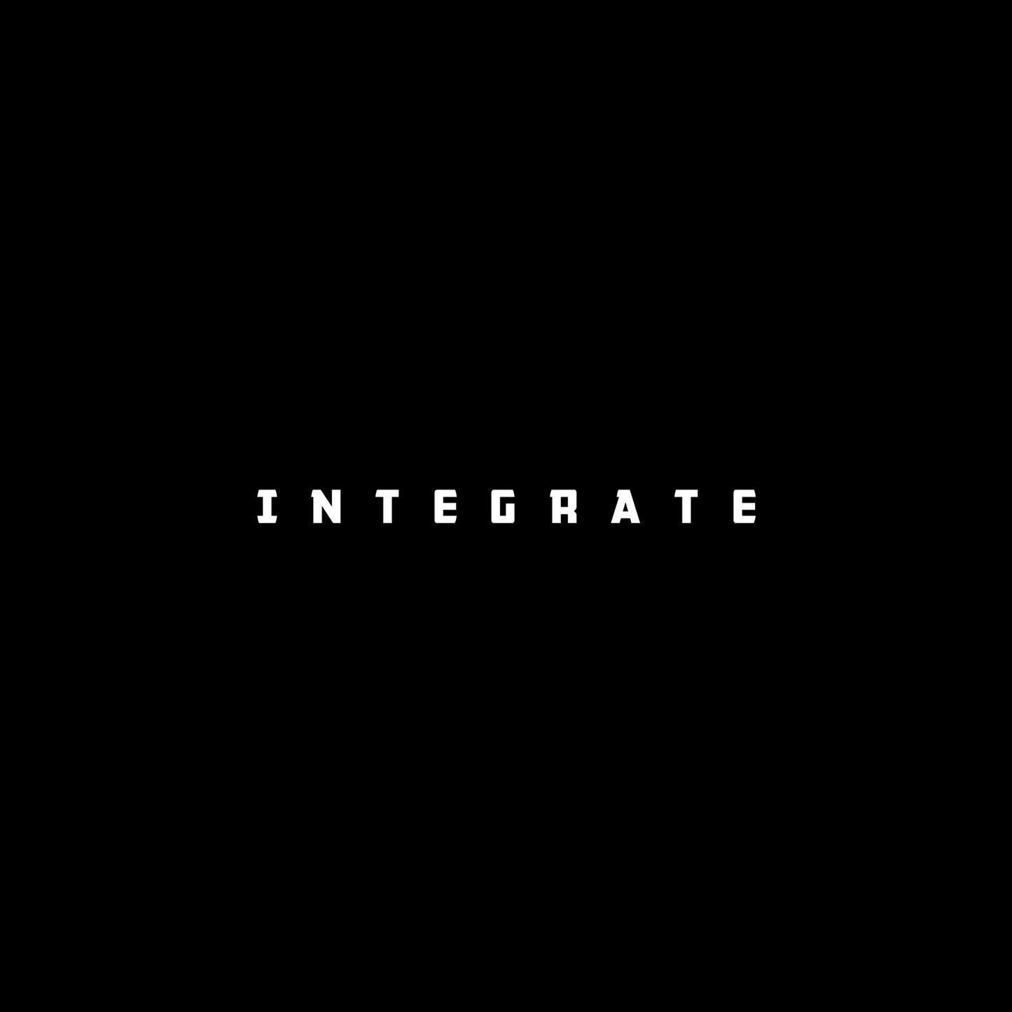 Phase 3: Integrate